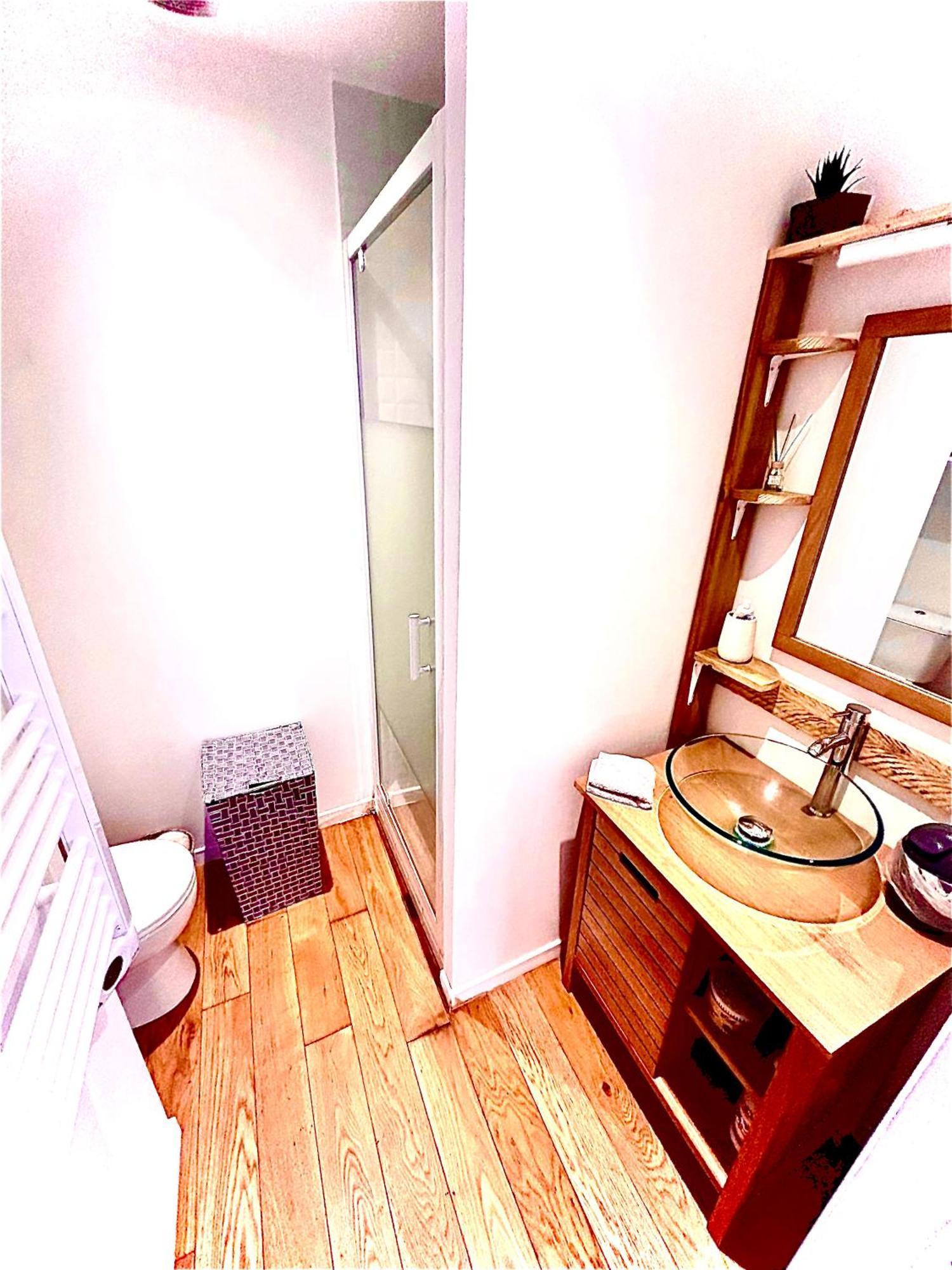 Le Patio Jacuzzi Centre Daire Toulouse Dış mekan fotoğraf